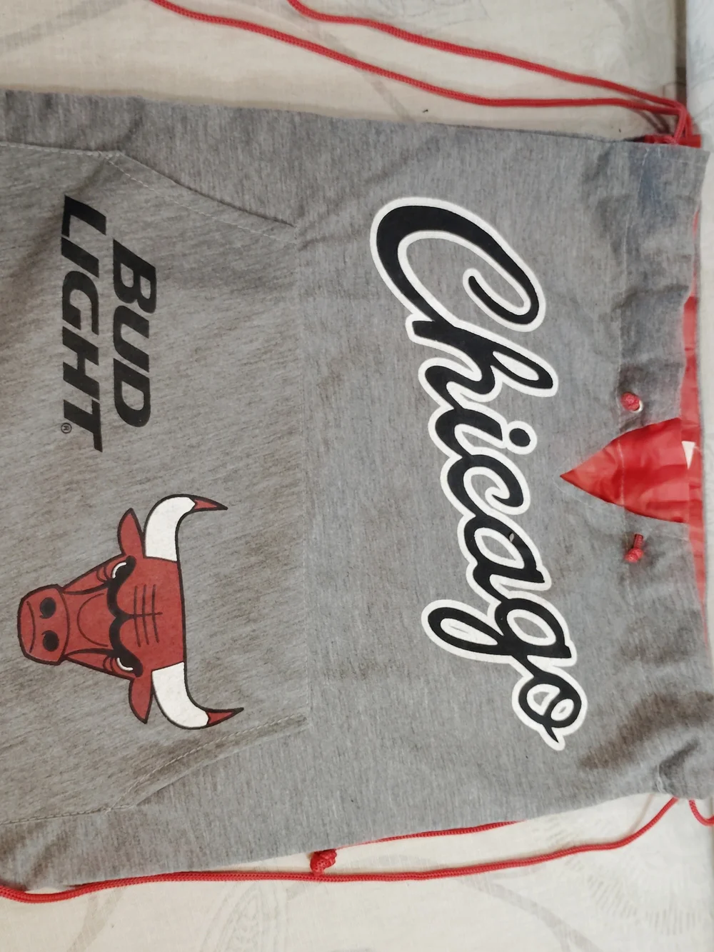 Chicago Bulls official chicago